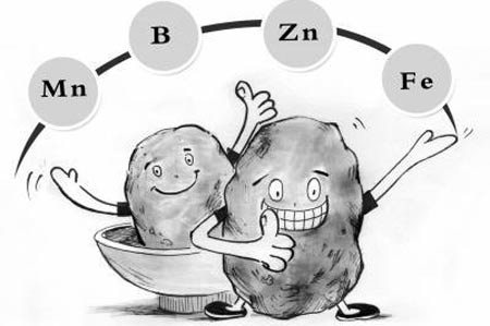 黄色草莓视频免费在线观看厂家分析元素之间的协同作用