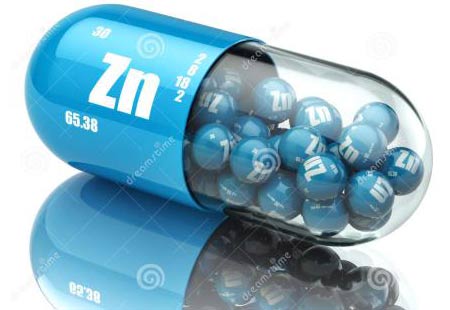 全自动黄色草莓视频免费在线观看分析锌的生理作用