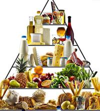 全自动黄色草莓视频免费在线观看的市场分析