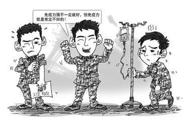 草莓视频IOS在线下载厂家谈硒与人体免疫功能的关系