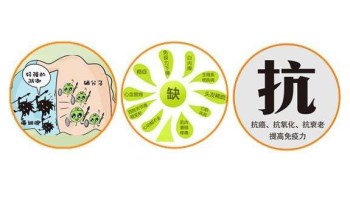 黄色草莓视频免费在线观看厂家分析哪些微量元素能防癌