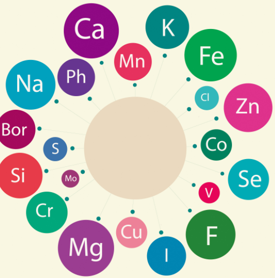 黄色草莓视频免费在线观看品牌介绍微量元素欠缺会导致哪些皮肤病？