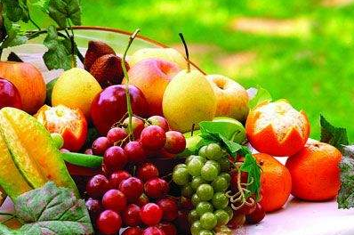 黄色草莓视频免费在线观看厂家介绍什么水果带有微量元素