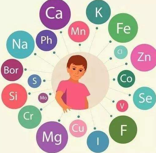 黄色草莓视频免费在线观看厂家提醒补充微量元素的注意事项