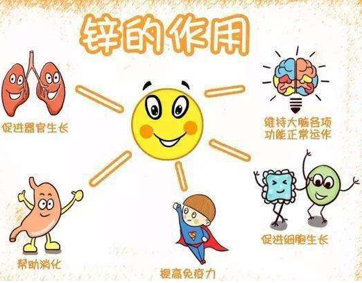 2020新款GK-1草莓视频IOS在线下载品牌草莓视频APP下载18剖析容易缺锌的儿童类型