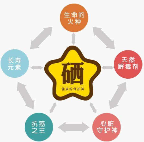 全自动草莓视频IOS在线下载厂家分析硒为何被称为生命的火种？
