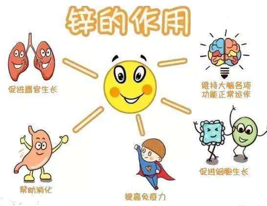 【全自动草莓视频IOS在线下载】厂家草莓视频APP下载18分析哪些儿童容易发生体内锌缺乏？