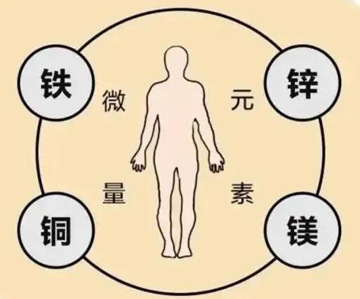 全自动草莓视频IOS在线下载厂家提示原创铁是身体必须微量元素之一，哪些食物含铁高呢？