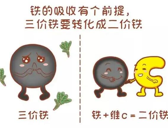 医用草莓视频IOS在线下载厂家提醒大家铁元素的重要性