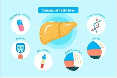 草莓视频IOS在线下载厂家提示小宝宝需要每天补钙和鱼肝油吗？