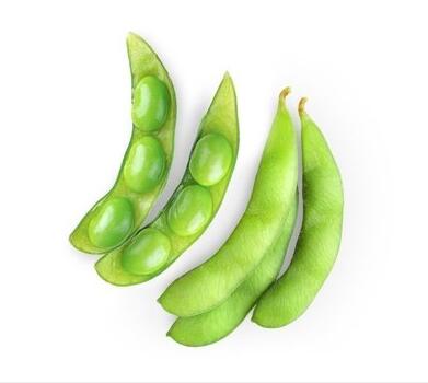 医用微量元素测试仪厂家提示健脑又补铁，小宝宝成长发育可以多吃这种蔬菜