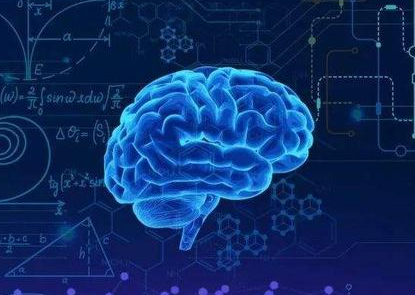 7.7山西晋中微量元素测定仪厂家介绍铁元素对大脑健康的重要性—草莓视频APP下载18器械