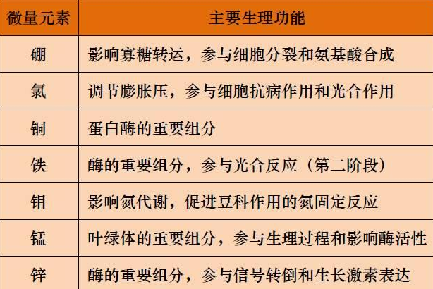 山东聊城全自动血铅检测仪一体机：微量元素的主要作用8.20